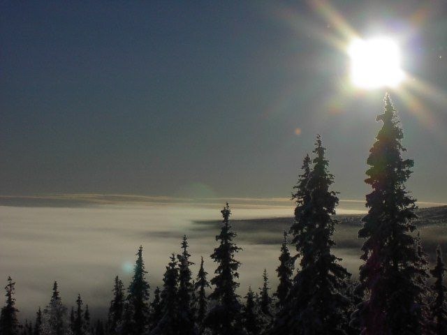 uppe på fjället en härlig morgon. . Photo: Anders Lönn.