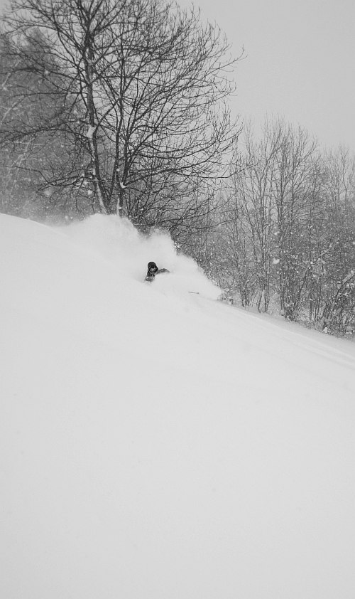 Photo: Simo Rautava. Rider: Matti Hautere.
