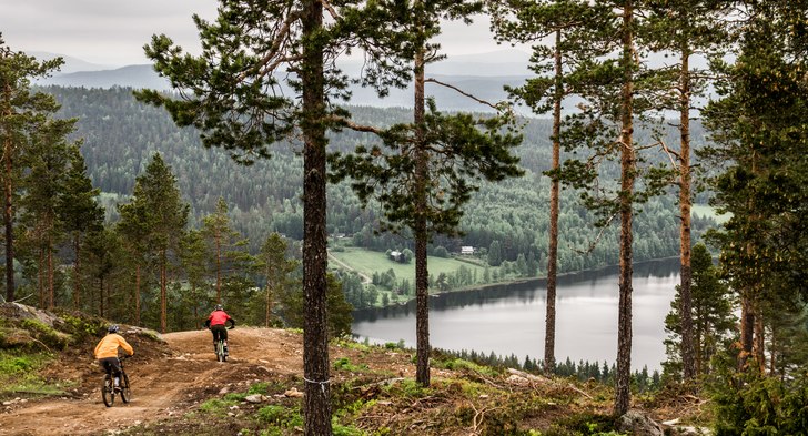 Photo: Tomas Almbo. Rider: Anna Karlsson.