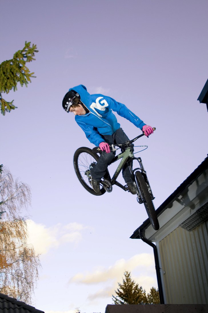 Dippad trea. Photo: Simon Berggren. Rider: John Långström.