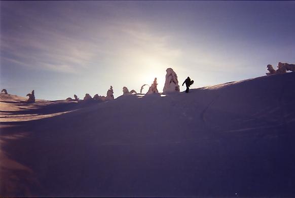 Photo: Mattias Berglund. Rider: Daniel Andersson.