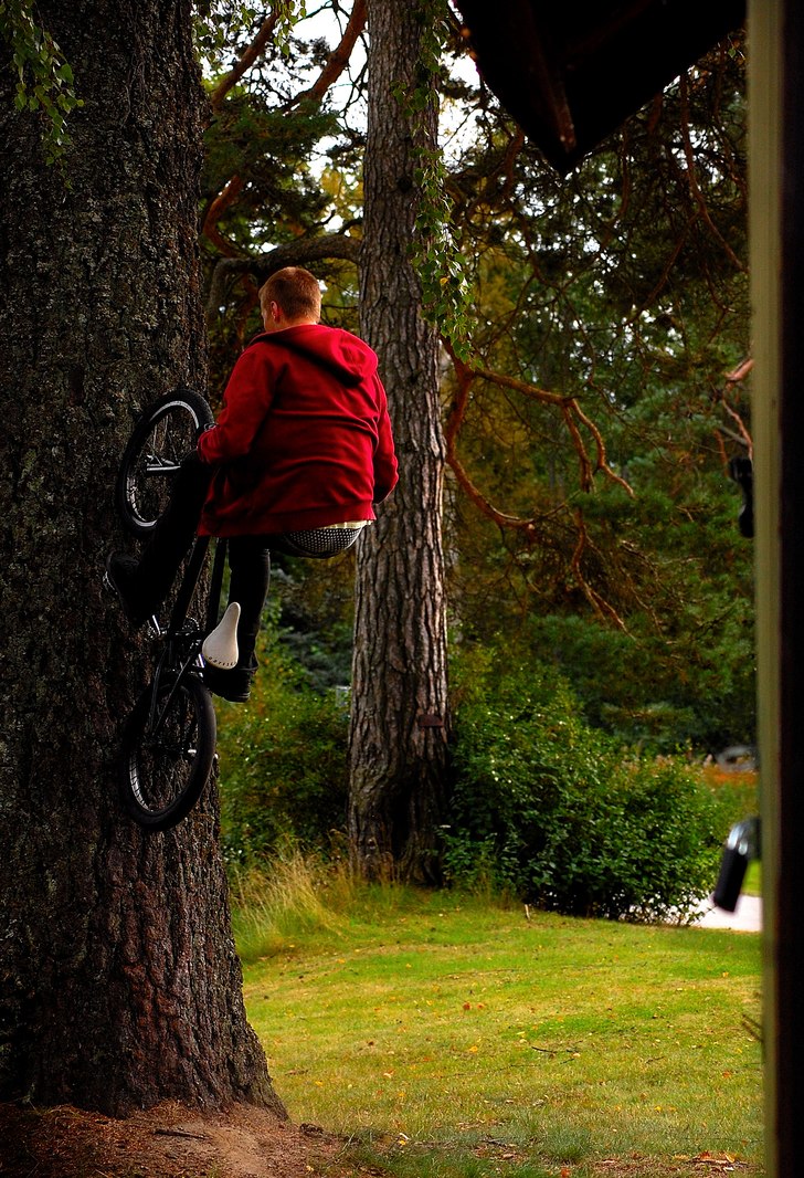 Henke högt uppe på trädet!. Photo: Simon Lindberg. Rider: Henrik Westlund.