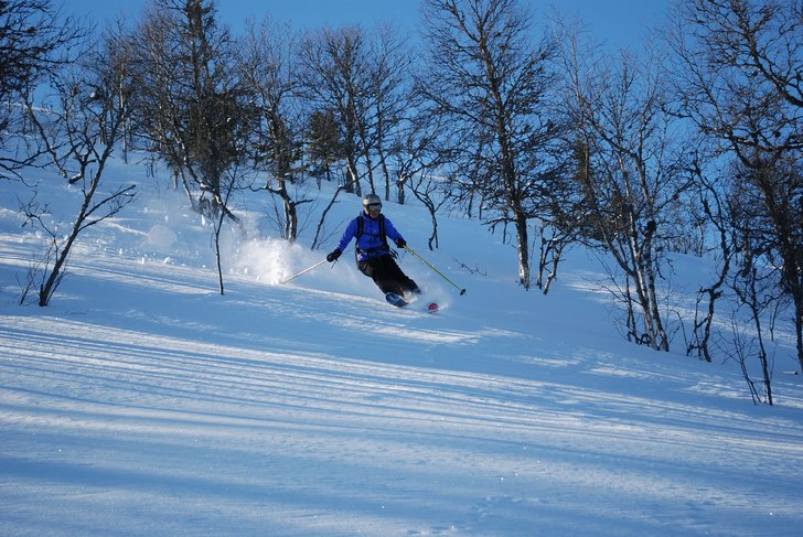 Photo: Johan Sköld. Rider: Sofia Sköld.