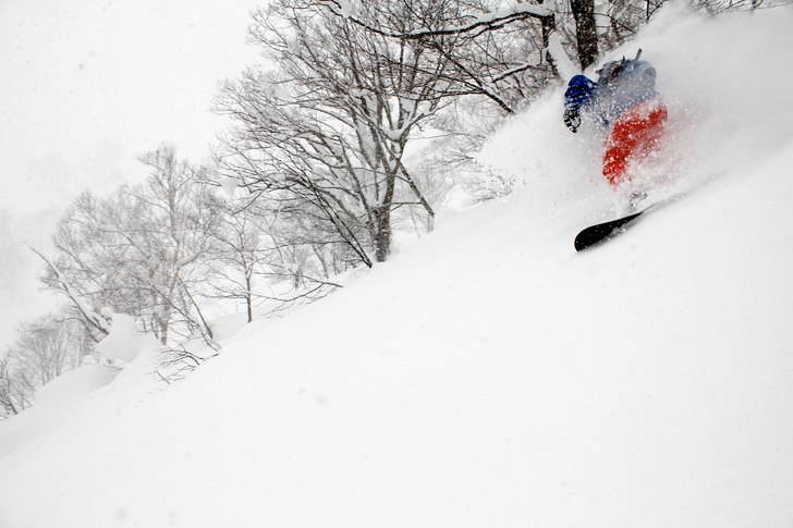 Photo: Christer Hällare. Rider: Mario Marinkovic.