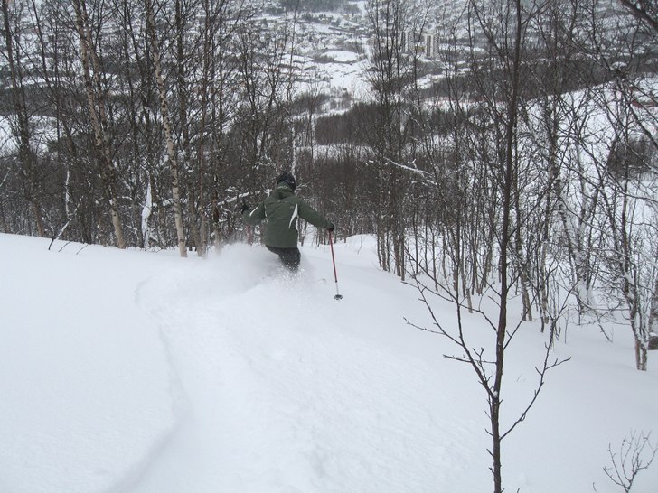 Testar fluffet i skogen i Narvik.. Photo: Magnus Wärle. Rider: Camilla Wärle.