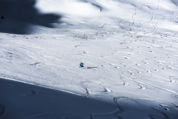 Perrin är en dåldis men ändå välkänd. Trotts. Photo: Axel Adolfsson.