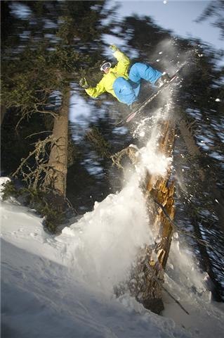 Photo: PP. Rider: Niklas Hollsten.
