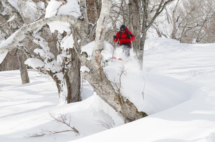 Photo: Olof Molin. Rider: Andreas Ojamäe.