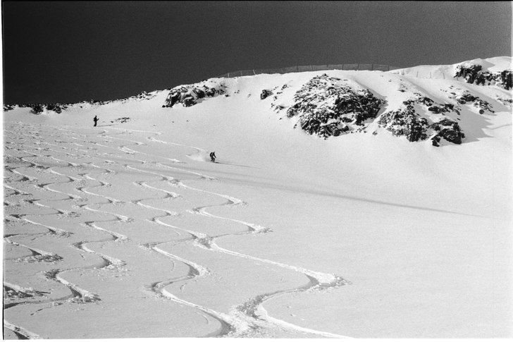 Photo: Gustav Holmer. Rider: Paula Ljunggren.