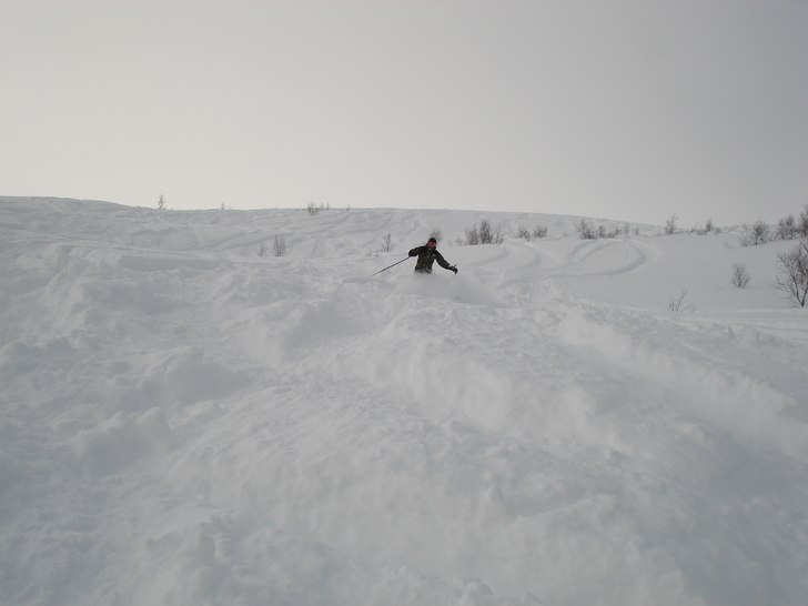 Photo: Tomas Broberg. Rider: Anders Engvall.