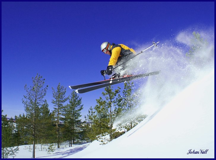 Photo: Johan Vall. Rider: Rickard Sundström.