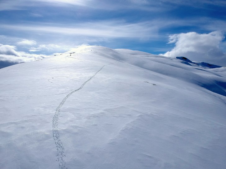 Photo: Anders Wingqvist.