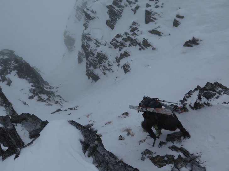 Axel på tunt snötäcke. Photo: tryggve tirén.