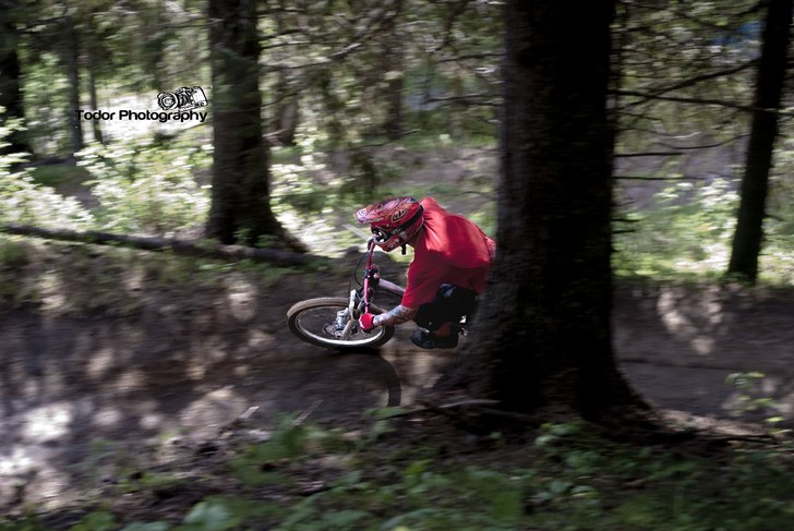 Forest. Photo: Robin Todor. Rider: Tobben Johansson.