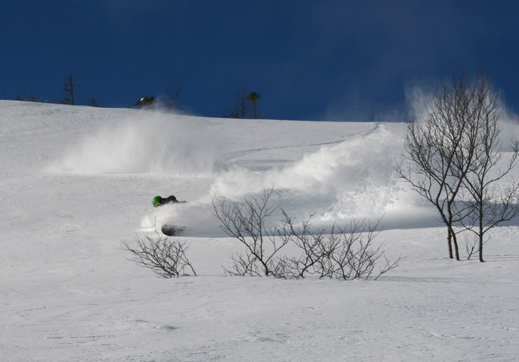 Nok en dag med klassen i pudderet. . Photo: Kurt Are Lona. Rider: Magnus.