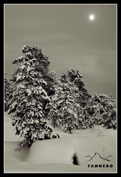 Photo: Peter Tannebo.