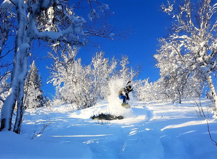Premiäråkning i Vemdalen. Rider: Alfred Bolsöy.