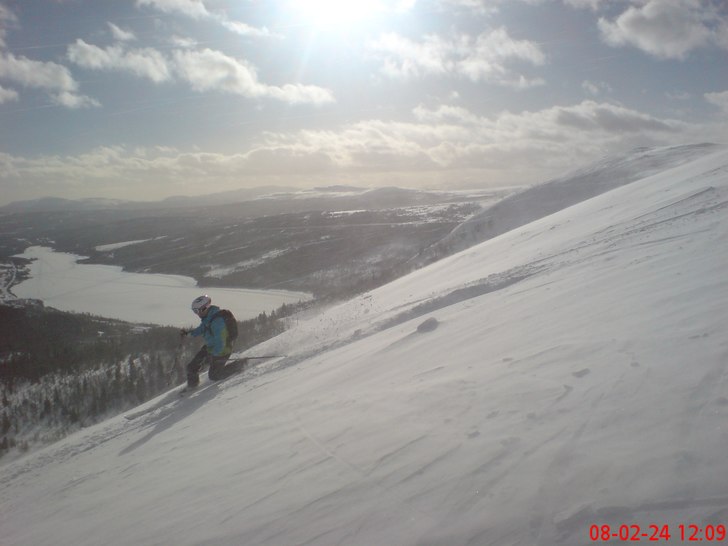 Photo: Evelina Wärle. Rider: Niklas Vogel.