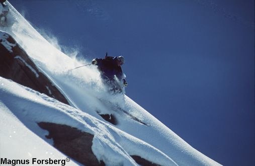 Photo: Magnus Forsberg.