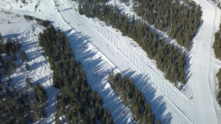 Drönarbild med skogen till vänster. Photo: skiBranäs.