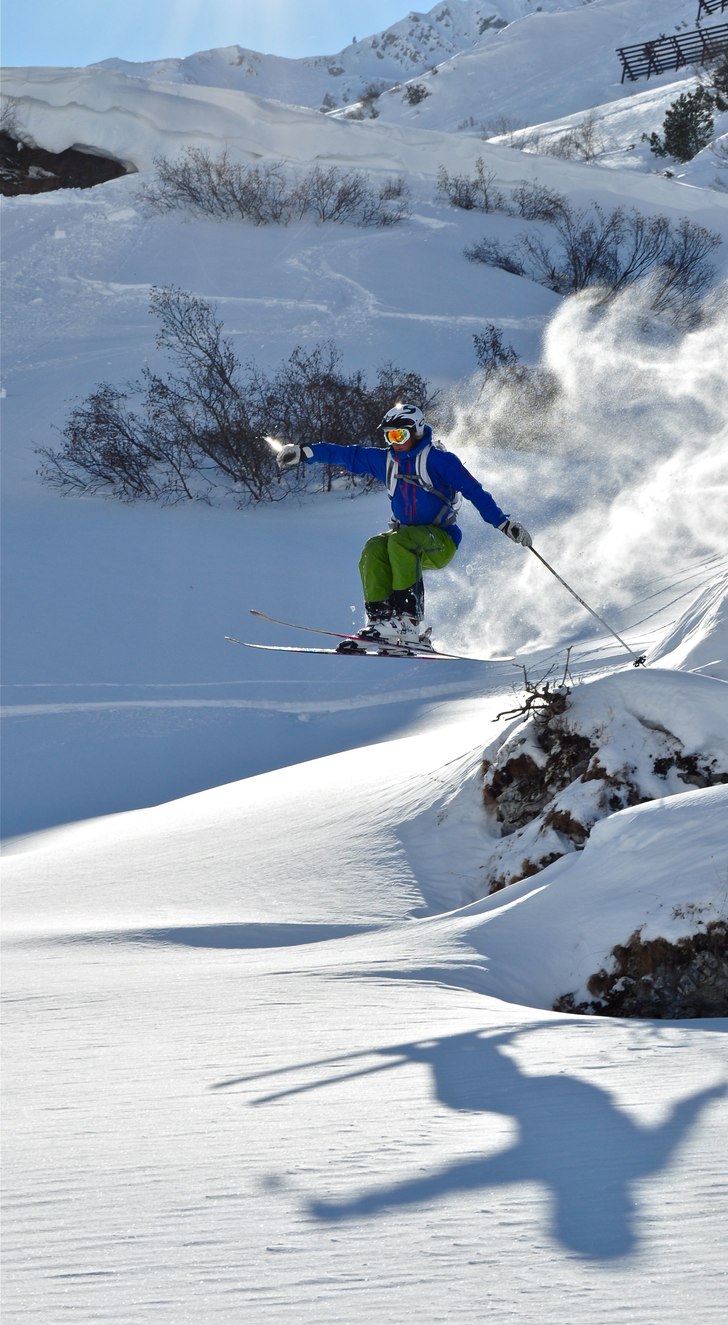 Photo: Johanna Fischer. Rider: Jens Persson.