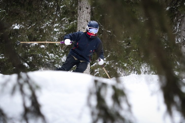 Granskogen är gallrad i Rågångsrännan, så det. Photo: Petter Elfsberg.