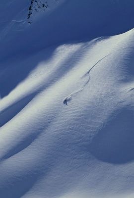 Photo: Johanna Carlsson. Rider: Aaron McGovern.
