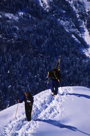 Photo: Anders Lundin. Rider: Niclas Ferin & Fredrik Gustavsson.