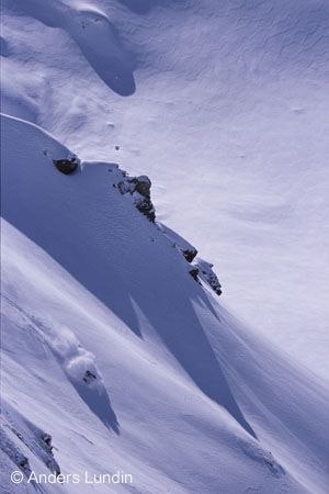 Photo: Anders Lundin. Rider: Fredrik Schillgard.