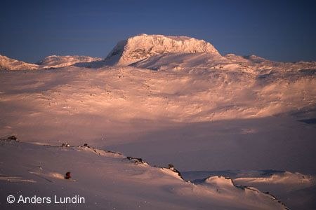 Photo: Anders Lundin. Rider: Helena Ljungman.