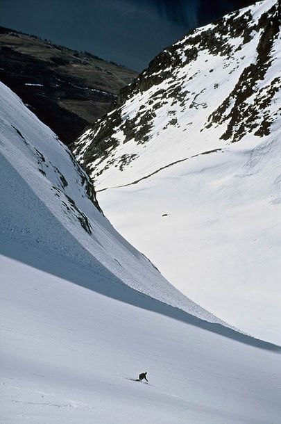 Photo: Fredrik Schenholm. Rider: Anna Persson.