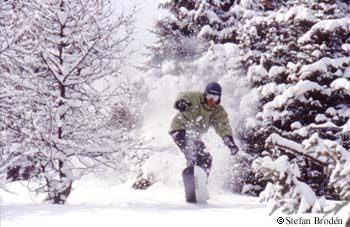 Photo: Stefan Brodén. Rider: Clovis.