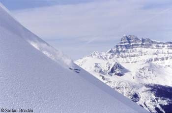 Photo: Stefan Brodén. Rider: Steve.