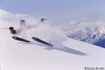 Photo: Stefan Brodén. Rider: Dave.