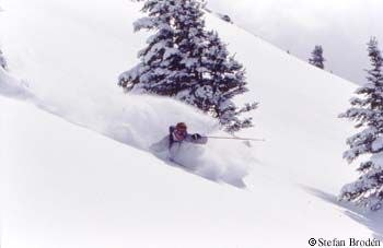 Photo: Stefan Brodén. Rider: Kevin.