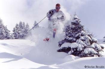 Photo: Stefan Brodén. Rider: Kevin.