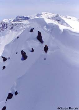 Photo: Stefan Brodén. Rider: Loui.