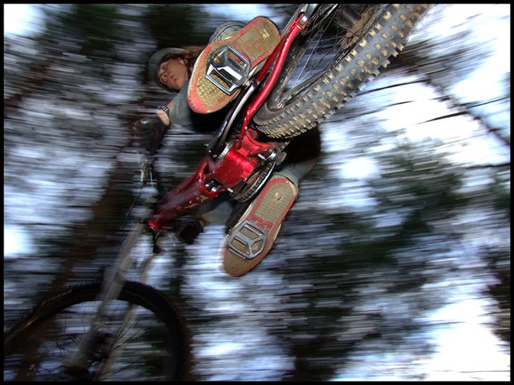 Photo: Jacob Gustafsson. Rider: Henrik Hvitfeldt.