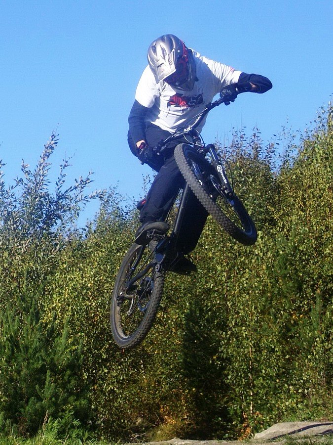 Tweek. Photo: Alexander Brännkärr. Rider: Björn Yrjans.