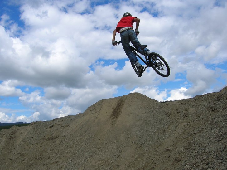 Whip. Photo: Dahlgren. Rider: JEppe.