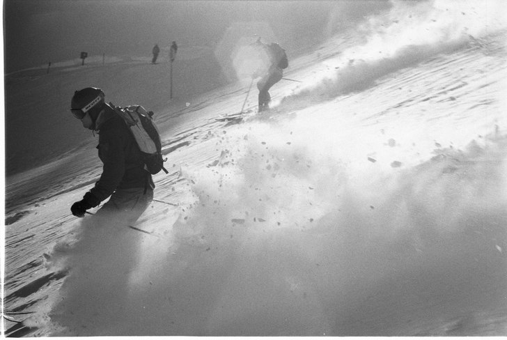 Photo: Gustav Holmer. Rider: Paula Ljunggren & Matias Björkman.