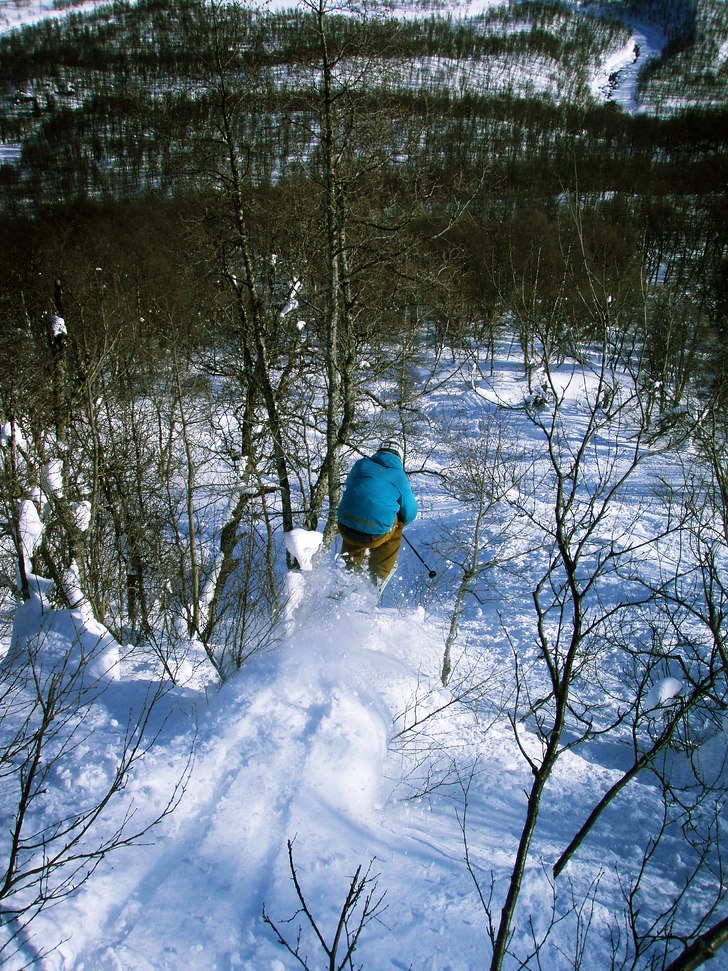 Photo: jakob wallin. Rider: david kvart.