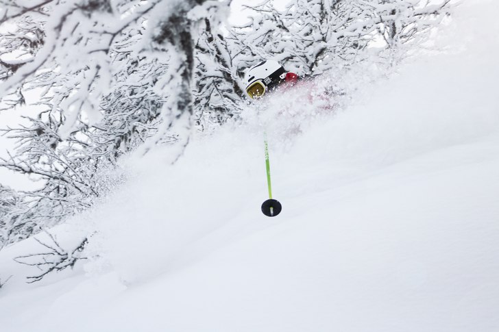 Robin Elfsberg prickar ett snöfall på Tännäskr. Photo: Eric Säfström.