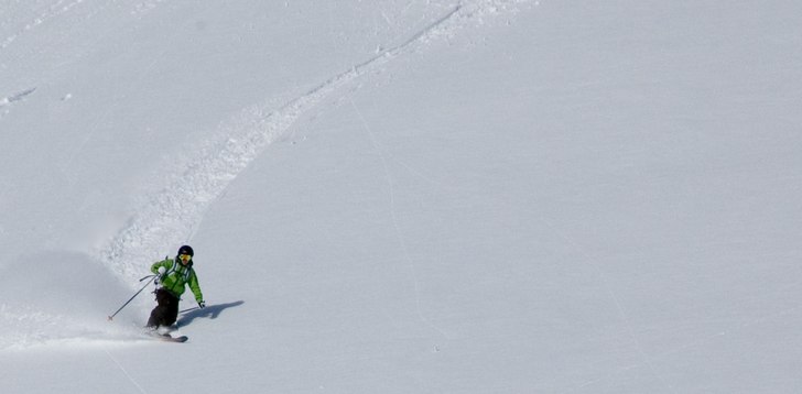 Photo: Bo Liljefors. Rider: Joakim persson.