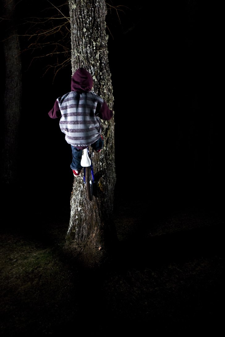 Liten tree ride :). Photo: Magnus Karlsson. Rider: Emil Jonsson.