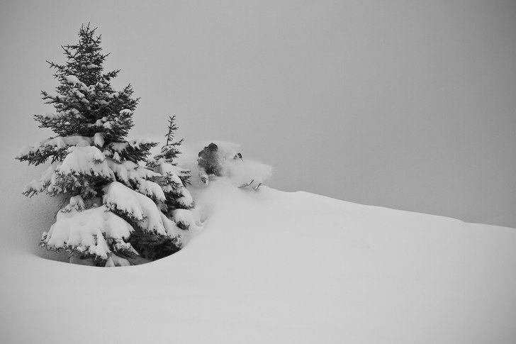 Photo: Peter Vahlfridsson. Rider: Ludvig Yttergren.
