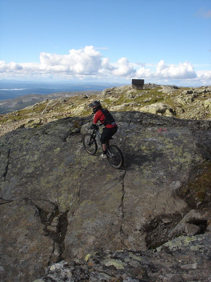 Photo: M.Stål Sjöberg. Rider: Per Jonsson.