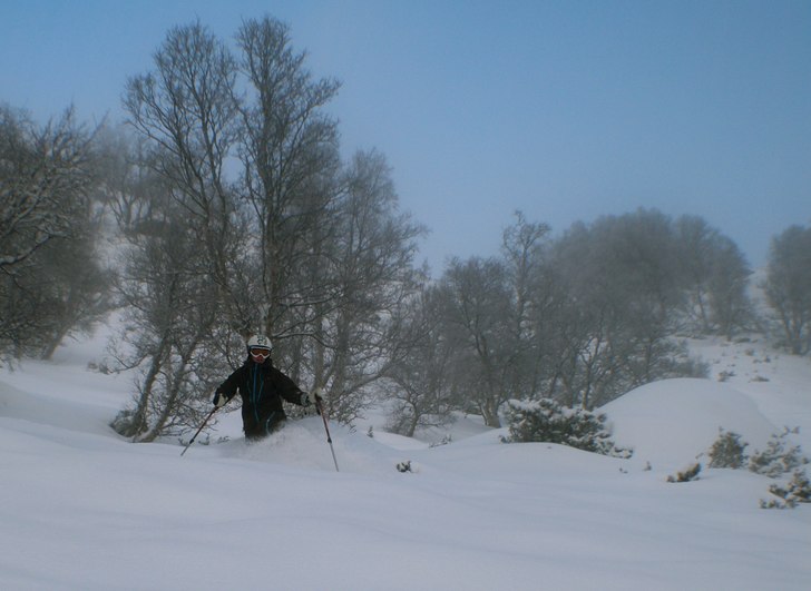 Rörliga bilder: http://www.freeride.se/video/oppd. Photo: Gustav Holmer. Rider: Gika.