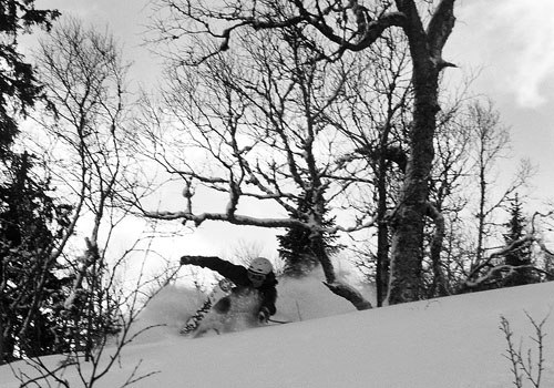 Photo: jesper wallin. Rider: jakob wallin.