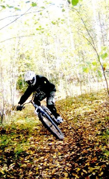 Höstlöv. Photo: Alexander Brännkärr. Rider: Björn Yrjans.